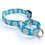 Blue Daisy Martingale Dog Collar