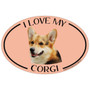 I Love My Corgi Colorful Oval Magnet