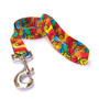 Jazz Paint Dog Leash