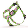Wonderful Watermelons Step-In Dog Harness