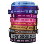 Personalized Dog Collar with Custom ID