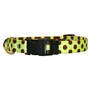 Green and Brown Polka Dot Break Away Cat Collar