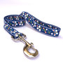 Festive Butterfly Blue Dog Dog Leash