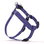 Neon Leopard Step-In Dog Harness