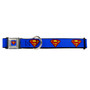Superman Seat Belt Buckle Buckle-Down Dog Collar