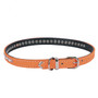 Neon 1-Row Crystal Dog Collar