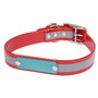 SunGlo Personalized Reflective Dog Collar with Nameplate