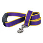 Sterling Stripes Purple and Yellow Dog Leash