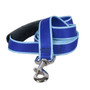 Sterling Stripes Royal Blue and Light Blue Dog Leash