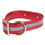 Reflective Waterproof Dog Collar with Nameplate for Big Dogs
