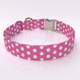 Polka Dot New Pink Premium Metal Buckle Dog Collar