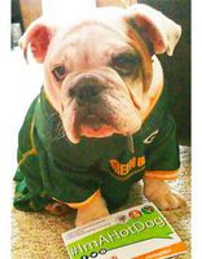 NFL Dogs Shop Here!