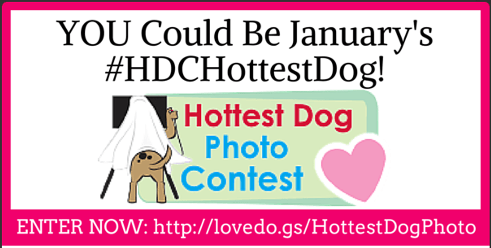 Enter Now For Your Chance To Win The January 2015 Hottest Dog Contest