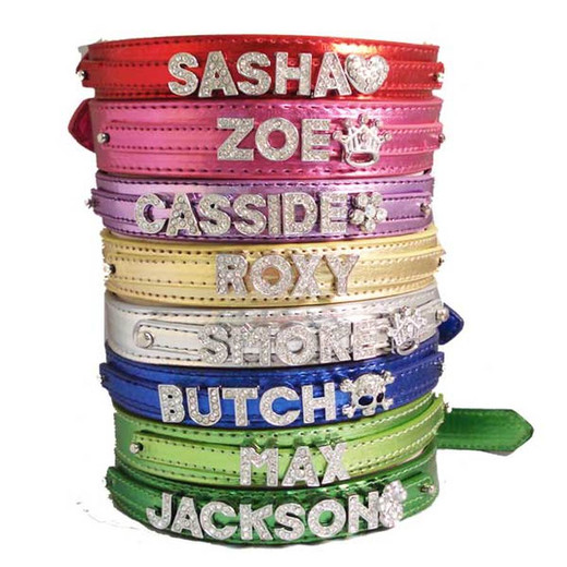 5 Fun and Fantastic Dog Collars