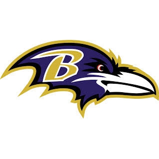 ravens pet jersey