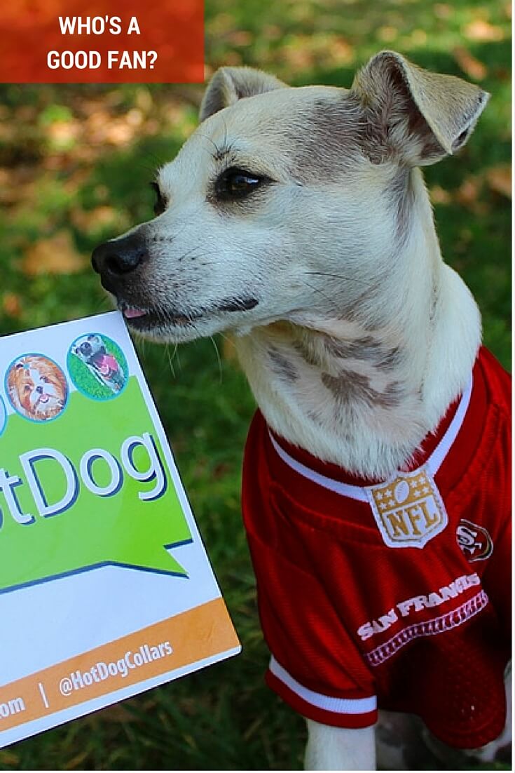 49ers dog jersey