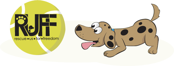about-bottom-banner-img.png about-bottom-banner-img.png