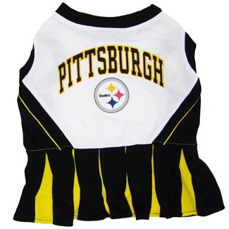 Pets First Pittsburgh Steelers Hoodie T-Shirt