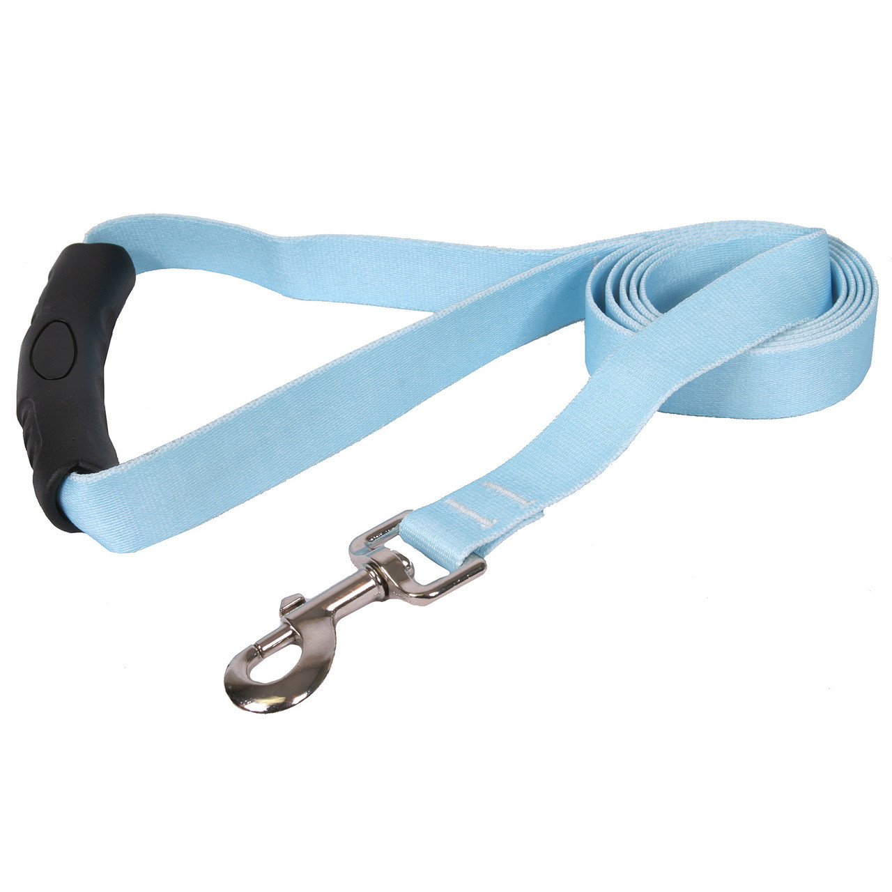 blue dog collar and leash