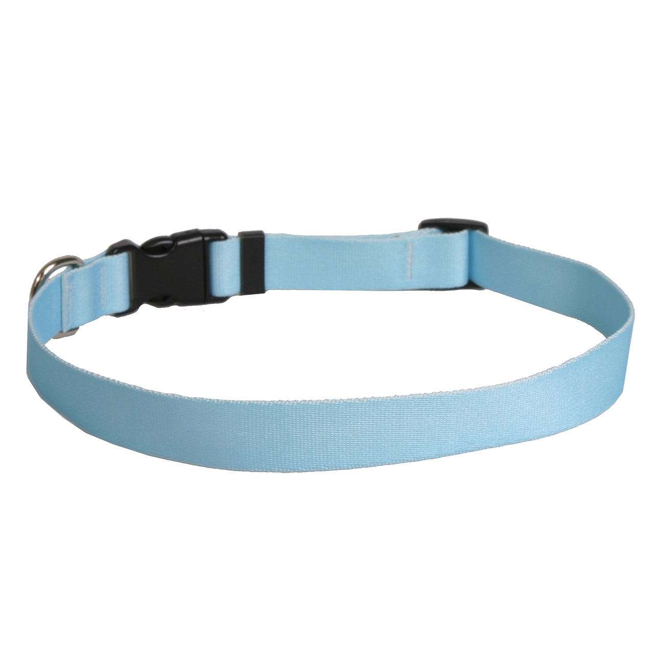 light blue puppy collar