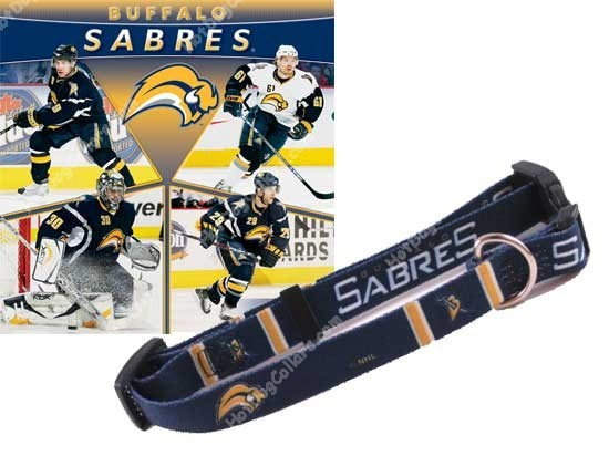 nhl pet gear