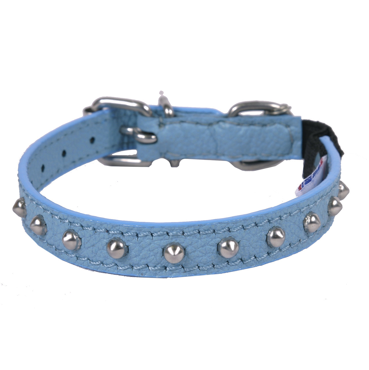 blue studded dog collar