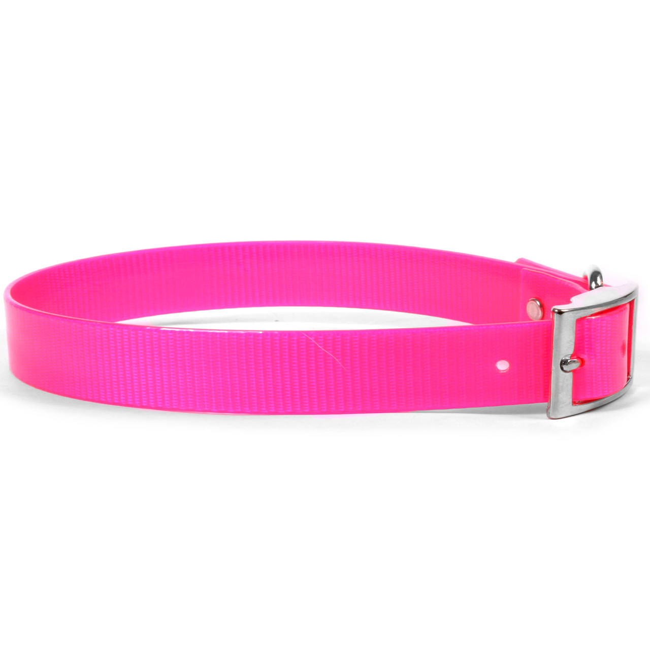 sunglo dog collars wholesale