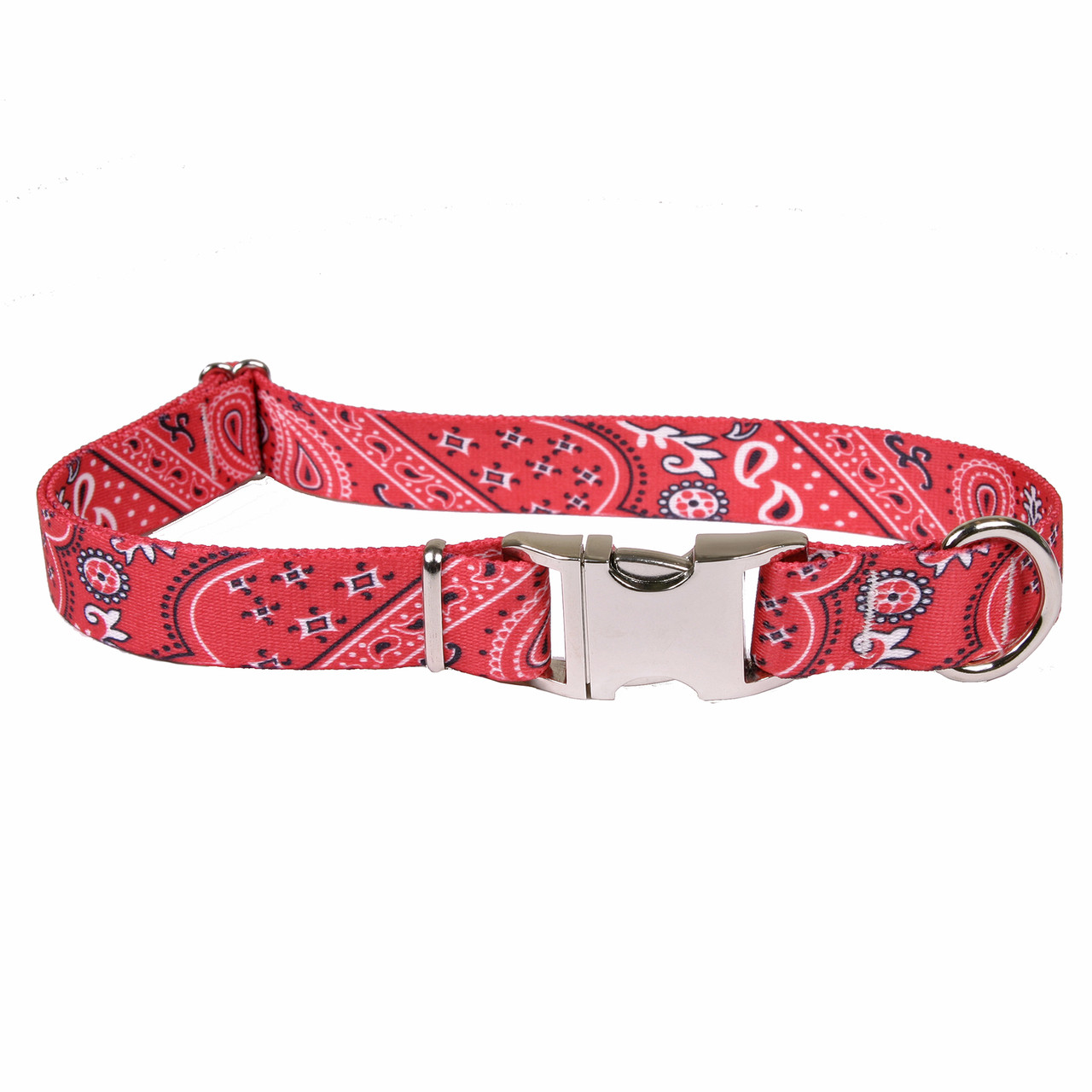 dog collar with buckle closure