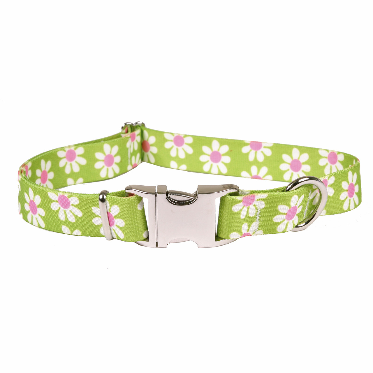 dog collar with buckle closure