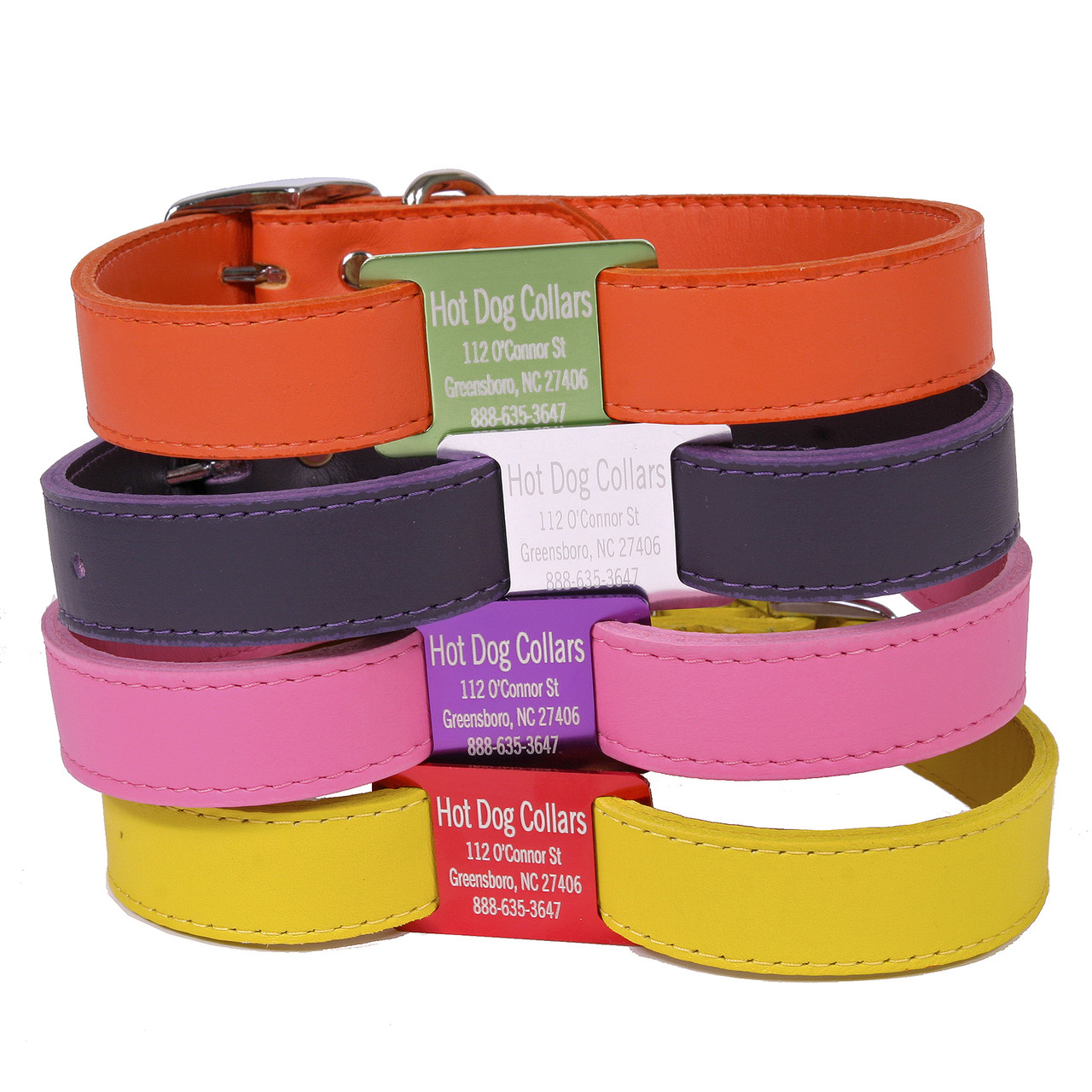 dog collars and tags