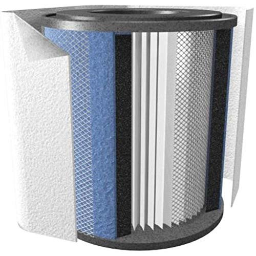 FR400A BLACK Healthmate Standard Replacement Air Filter