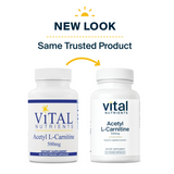 Acetyl L-Carnitine 500mg by Vital Nutrients