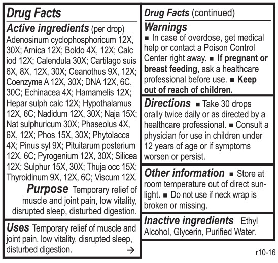 DrainageTone by Energetix