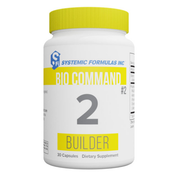 2 - Builder by Systemic Formulas