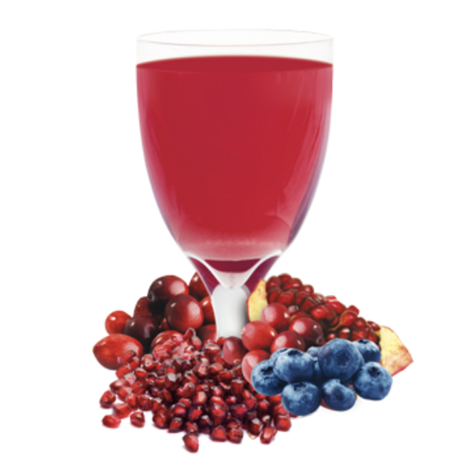 Blueberry Cran-Granata Drink Mix by Ideal Protein - Individual Packet