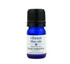 Small Intestine Support 5 ML by Vibrant Blue Oils