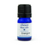 Energize 5 ML by Vibrant Blue Oils