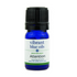 Attention - 5 ML by Vibrant Blue Oils