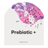 Prebiotic + by Thorne
