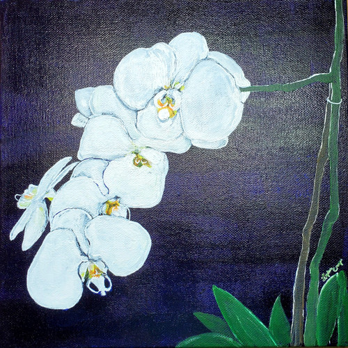 Arcylic painting of Orchids