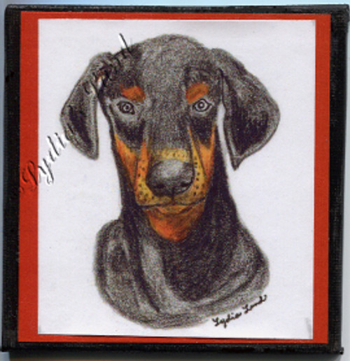 Doberman