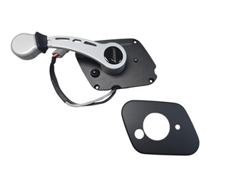 PCM Livorsi EEC control