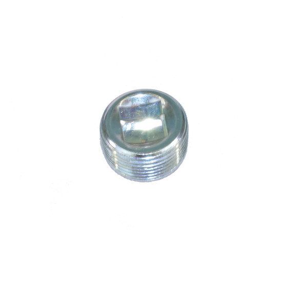 Manifold drain plug - older style, # RS3533