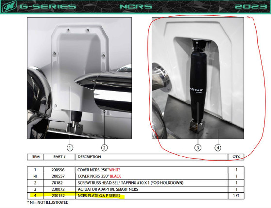 NCRS PLATE G & P SERIES, 2023+