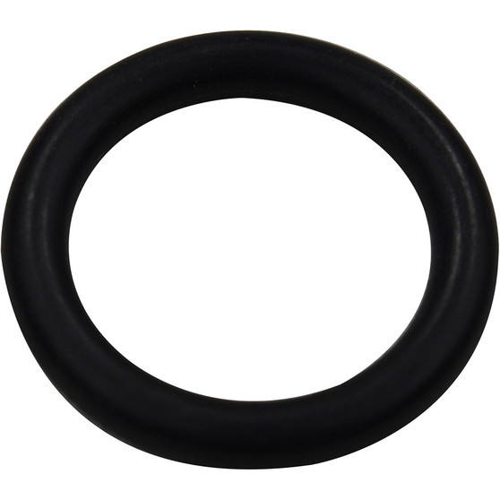 O RING, Shift Valve, PCM # R047010