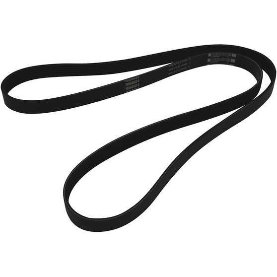 Belt for 8.1L