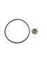 O'Ring