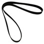 Serpentine Belt, ZZ8