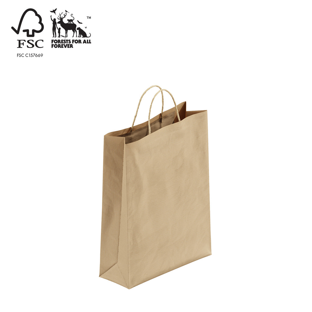Shop for Shops Kraft paper bag small with handle 260 W x 350 H x 95 mm gusset(A8021.1BN)