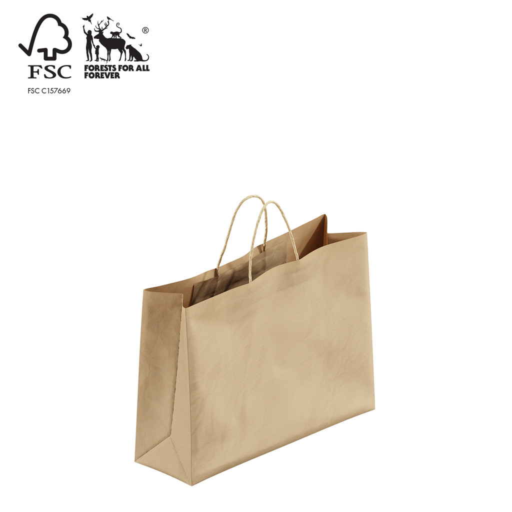 Kraft paper bag boutique small with handle (A8025.1BN)